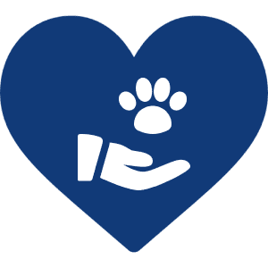 Hand holding paw inside blue heart