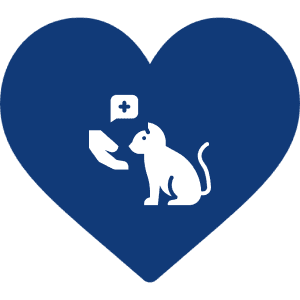 Cat receiving veterinary care icon